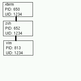 A program in an xterm window