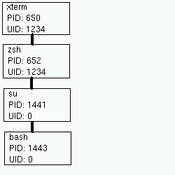 Process tree with user's shell and root shell