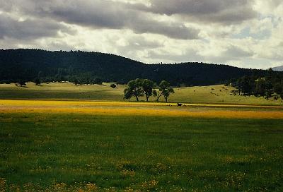 Near Apache Creek, NM