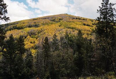 Buzzard's Peak