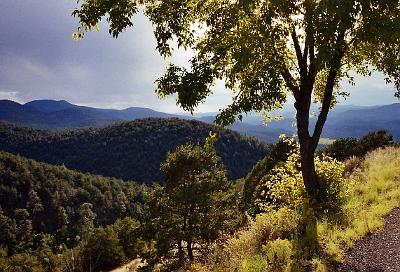 Mountains - from Forest Road 141, a few miles south of Reserve, NM