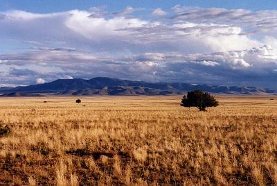 San Agustin Plains