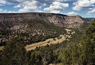 The Tularosa on Forest Road 233, about 2 mi. north of Reserve, on New Mexico Hwy. 12.